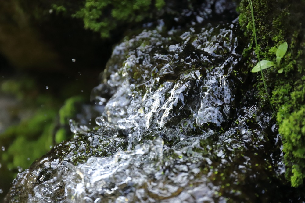 水へのこだわり